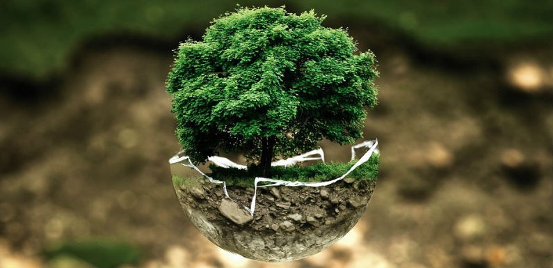 Cuidado del medio ambiente