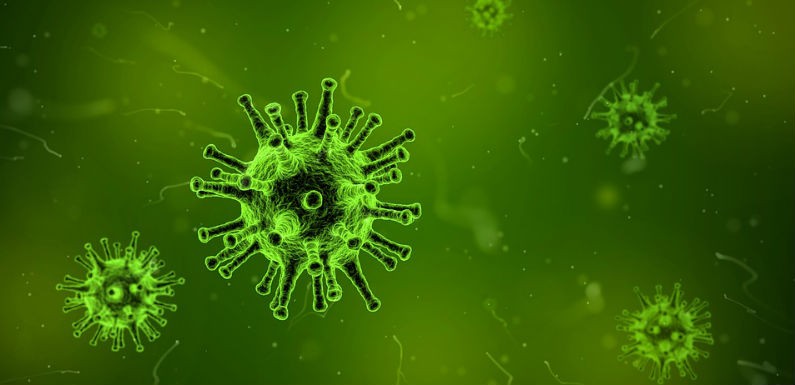 bacterias probioticas
