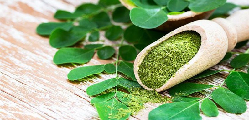 Moringa y sus beneficios
