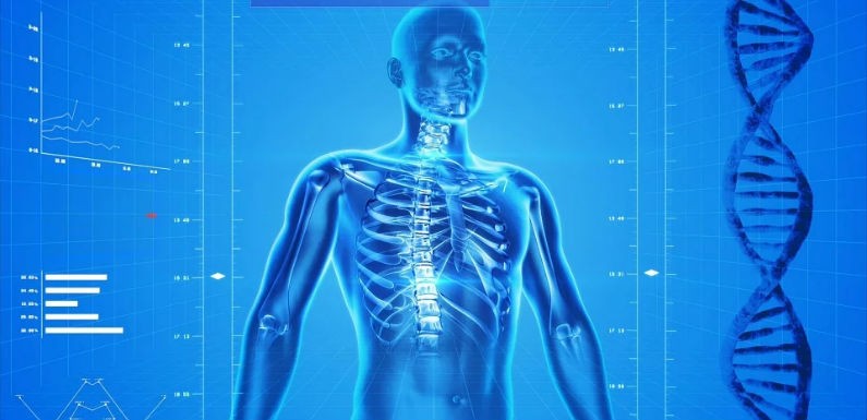 El arte de cuidar el cuerpo
