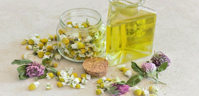 plantas medicinales para tener siempre cerca