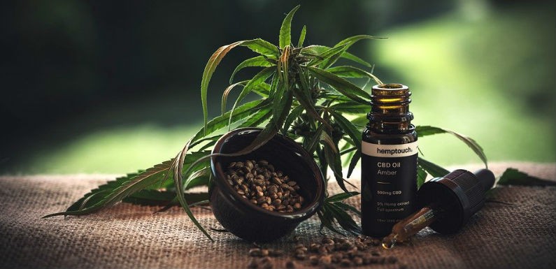 cbd moda medicina y mas