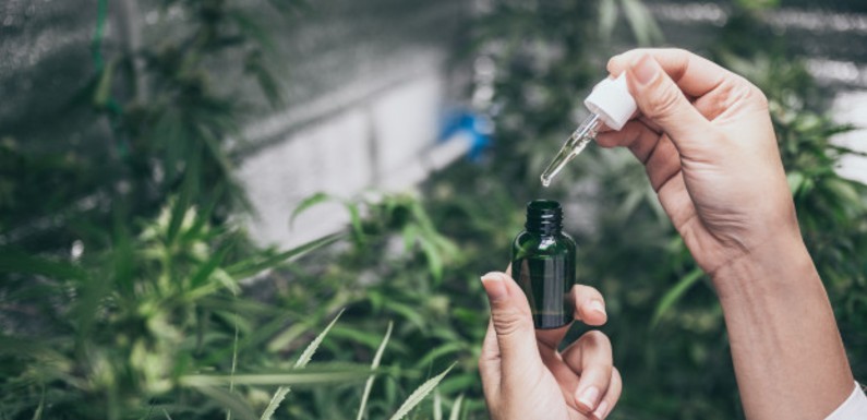 Cómo funciona el CBD en el cuerpo