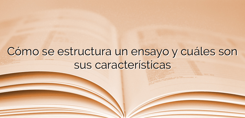 Cómo se estructura un ensayo y cuáles son sus características