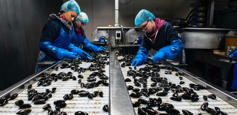 Industria alimentaria
