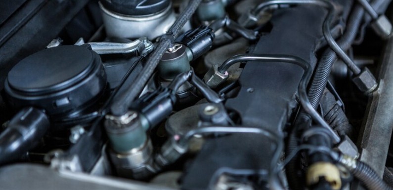 Motor